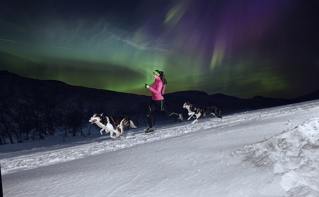 En löpare i rosa jacka och två hundar springer på snö under ett spektakulärt norrsken med gröna och lila färger på himlen.